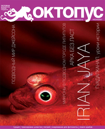 Cover of Octopus Magazine (Russia)
