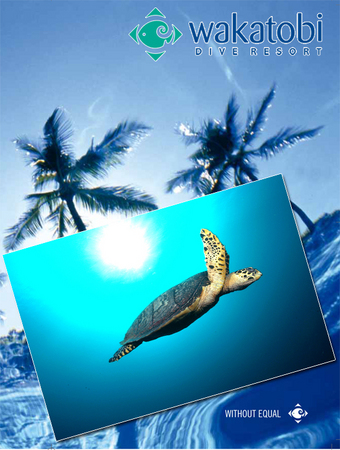 Wakatobi Dive Resort: Collateral material